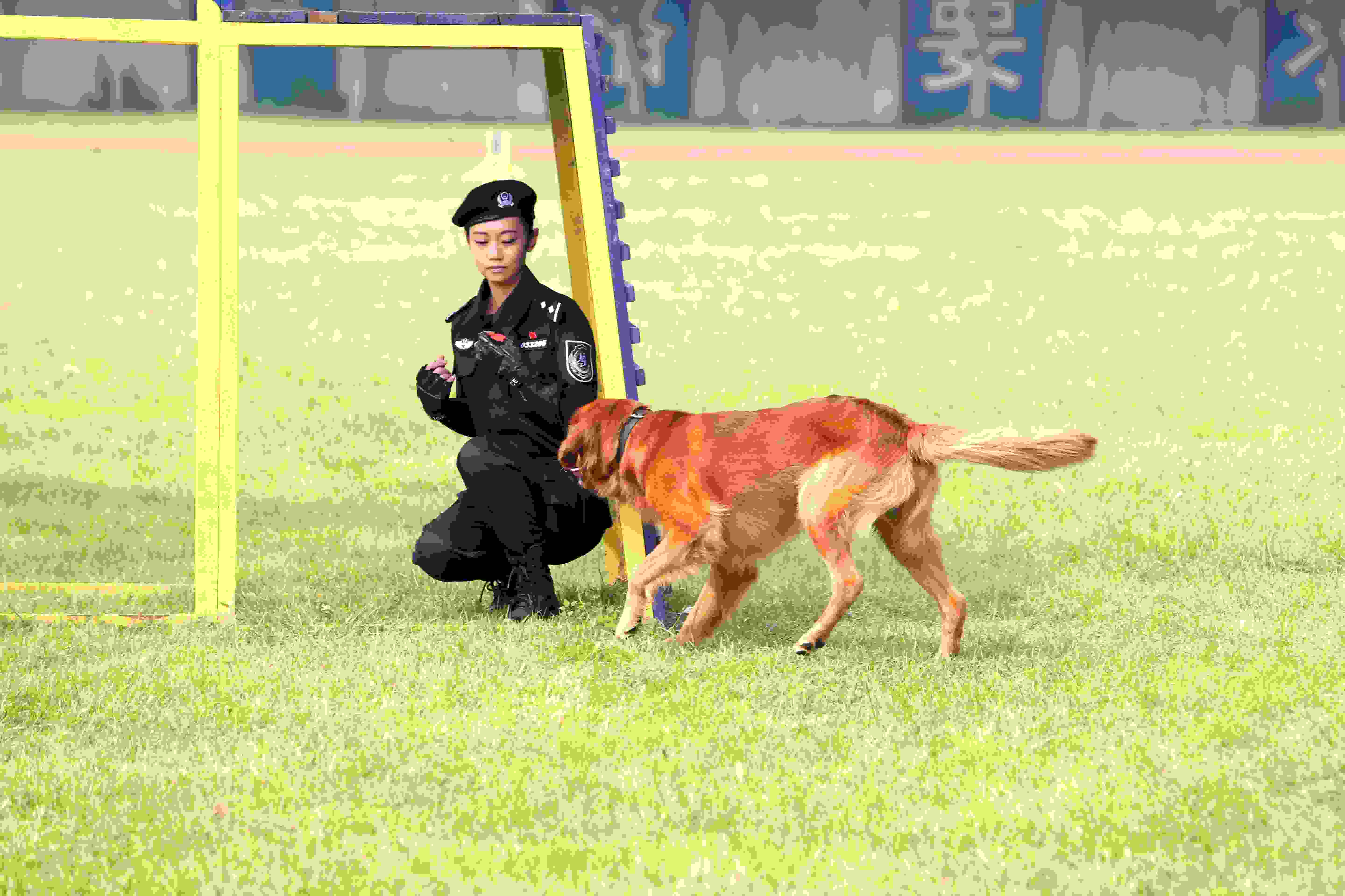《警花与警犬》剧照(04)