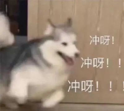 微信又悄悄更新!999个表情包上限,你满足了吗?