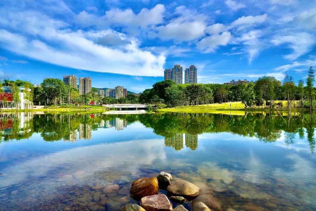 pm25浓度创新低深圳蓝出新高度