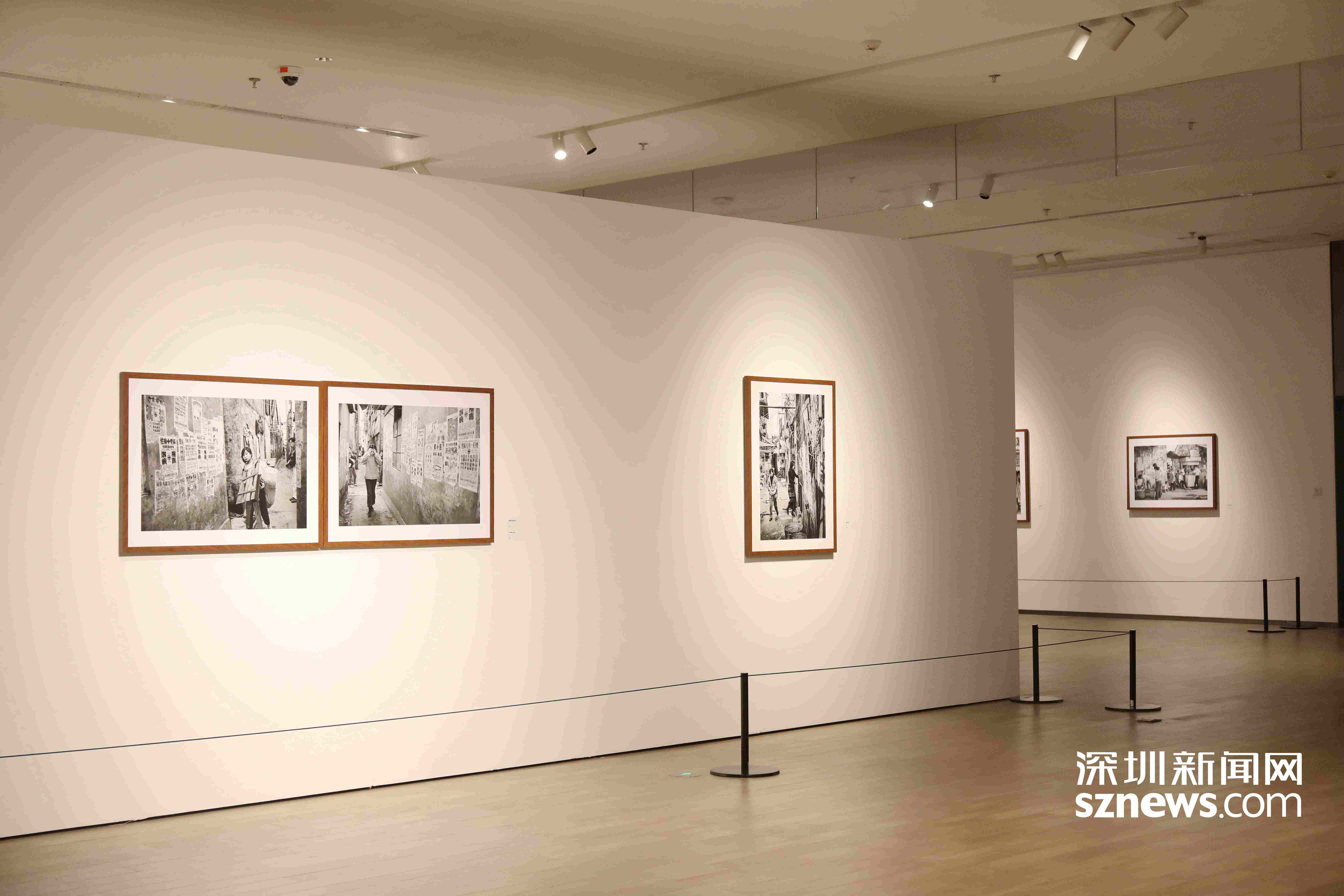 探光明丨走带你打卡光明文化艺术中心这三大艺术展