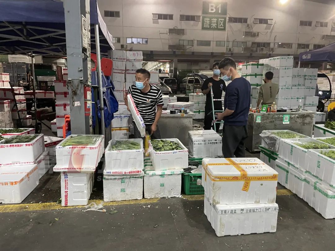 据统计,3月12日,深圳海吉星市场蔬菜来货总量合计5301吨,与昨日(5101