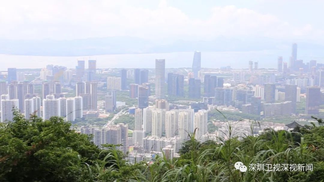 赏山海连城,拥万千绿道!带你探营“公园里的城市”到底有多美