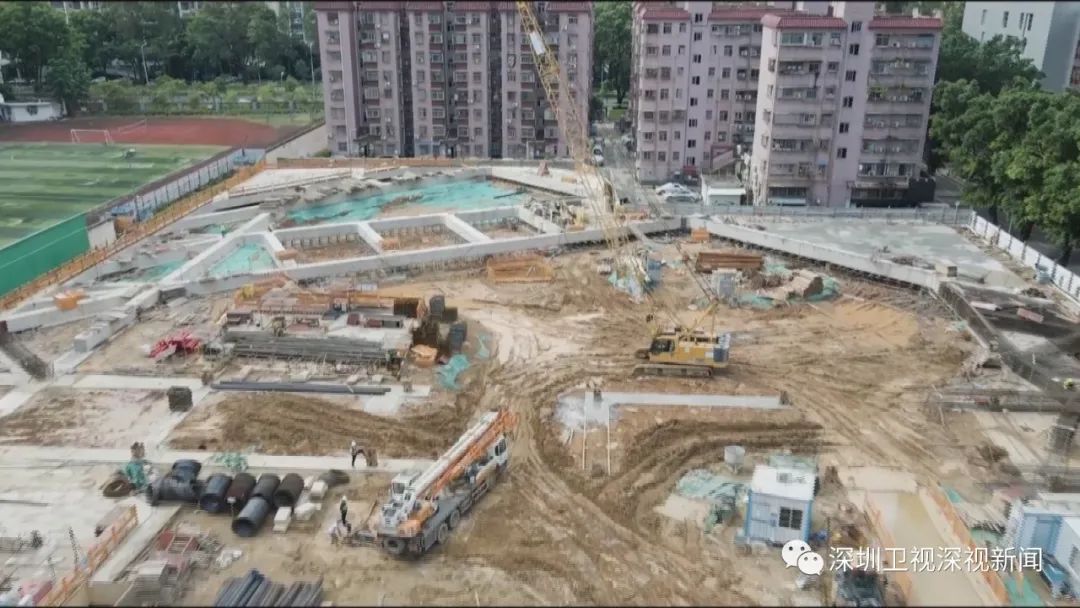 损害生态环境如何赔偿?除了罚款,深圳还有新招!