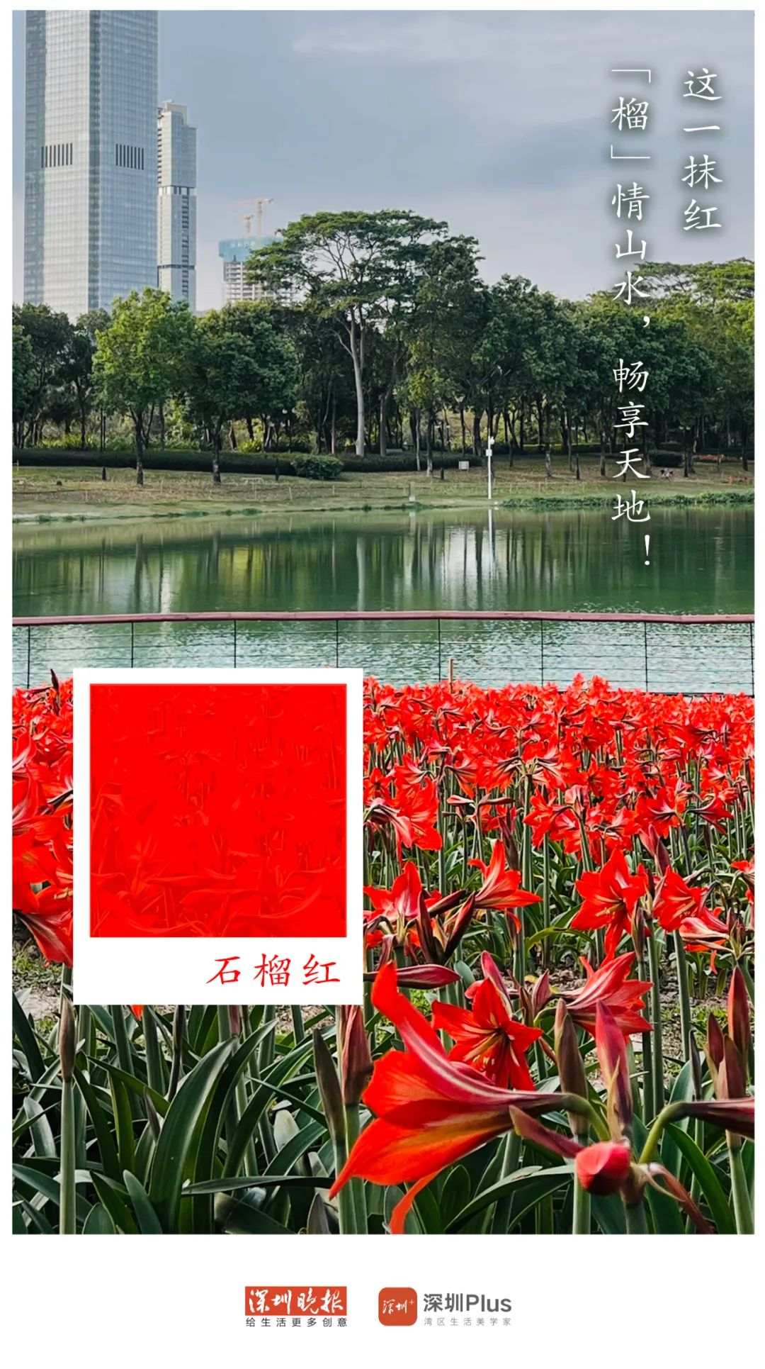 中国!红!