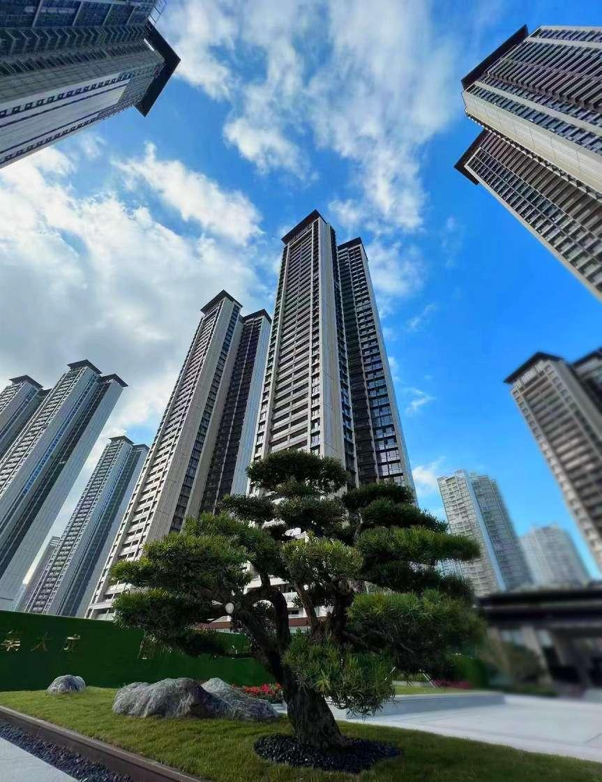 先锋快报深铁懿府三期开放活动今启幕再筑tod模式的高品质宜居社区