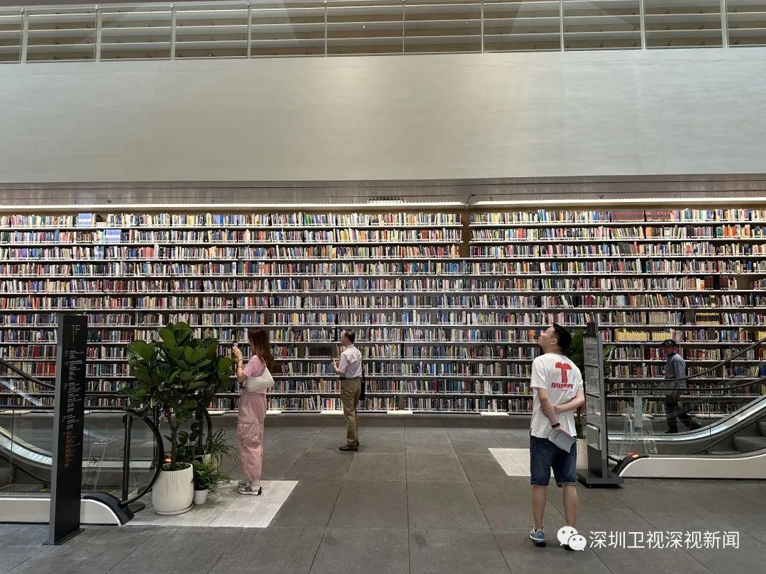 深圳图书馆南书房收费图片