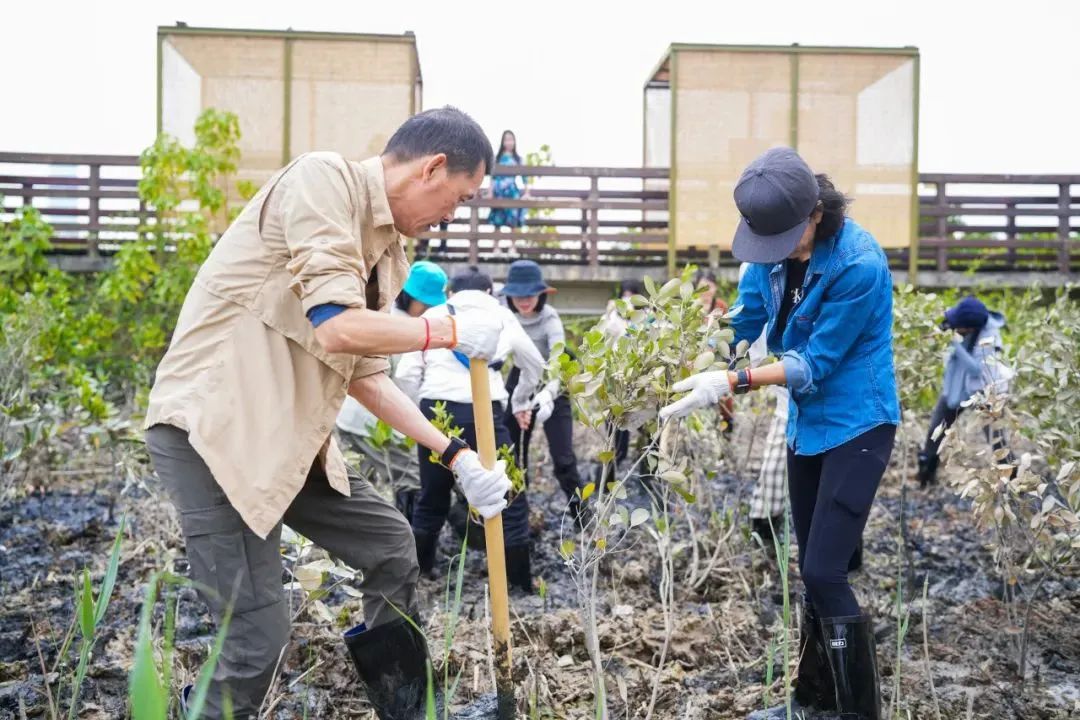 1号令深圳市委书记市长共同签发