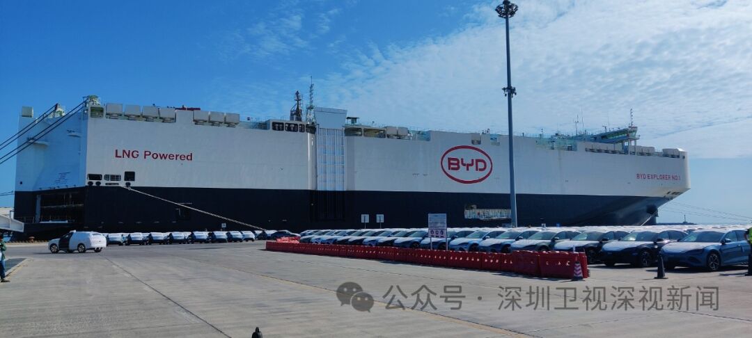 比亚迪出海舰队首船即将起航未来两年还将有7艘投入运营