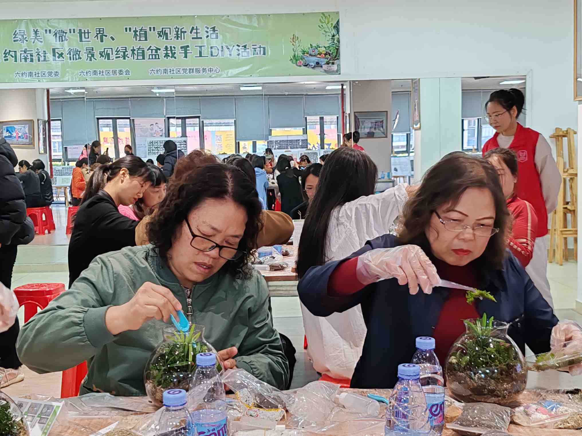 "植"观新生活——横岗街道六约南社区开展微景观绿植盆栽手工diy活动