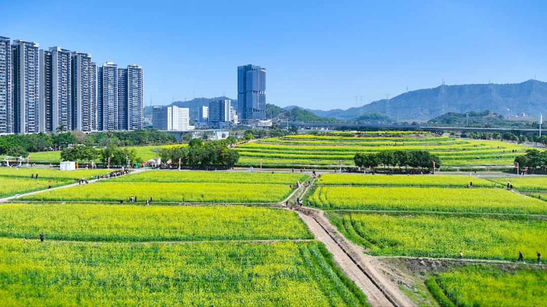 深圳阡陌社区_深圳市阡陌科技有限公司 深圳阡陌社区_深圳市阡陌科技有限公司