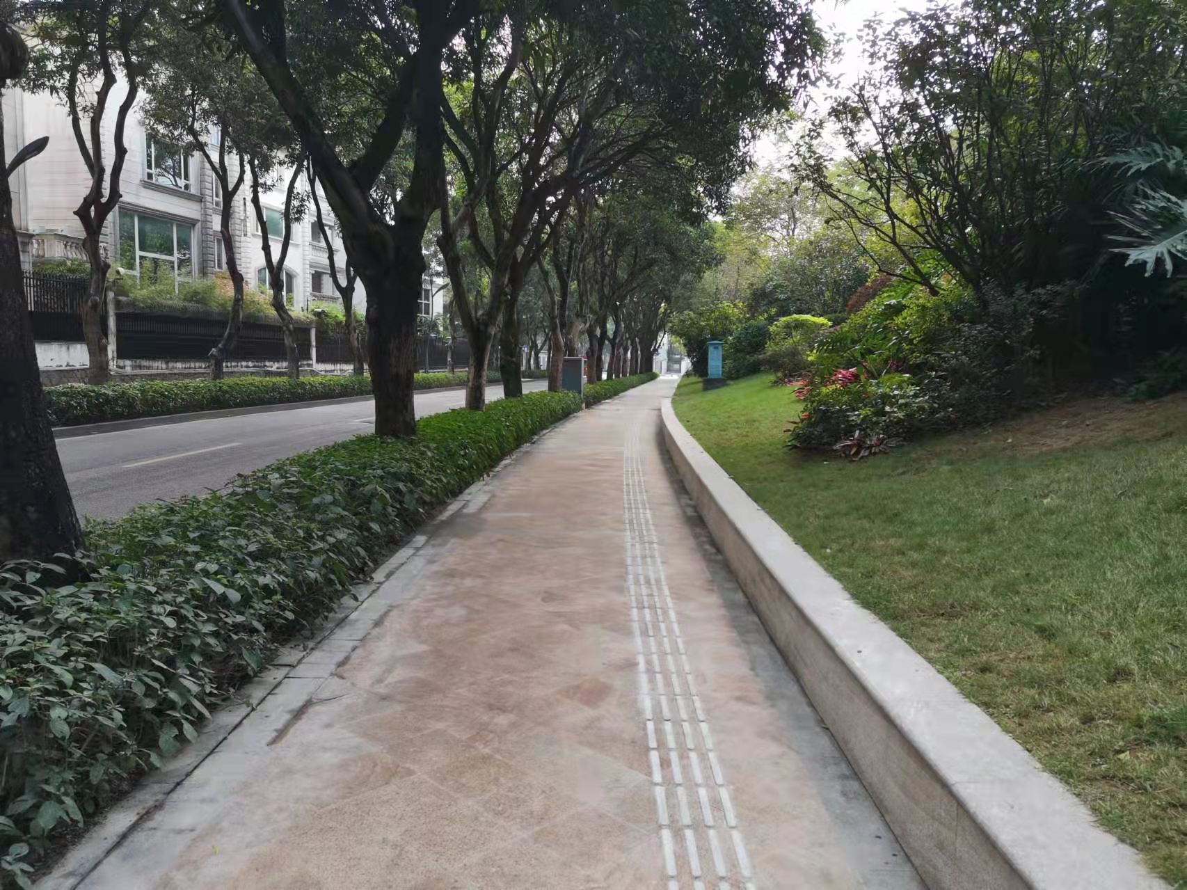 罗湖试点新型盲道 优化无障碍出行体验