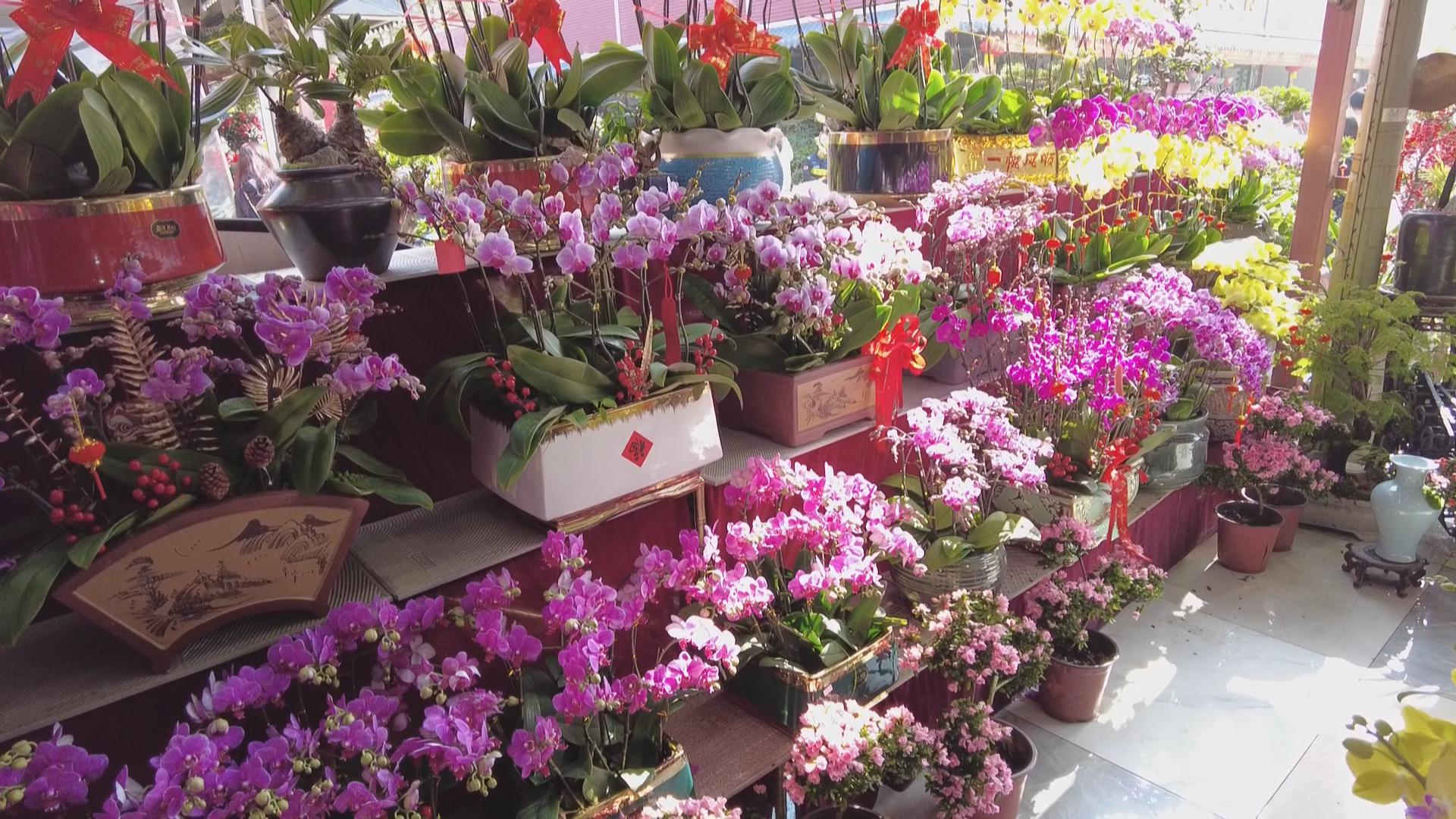 福中福花卉世界位于新安街道海裕社区新安六路与新湖路交会处,主入口