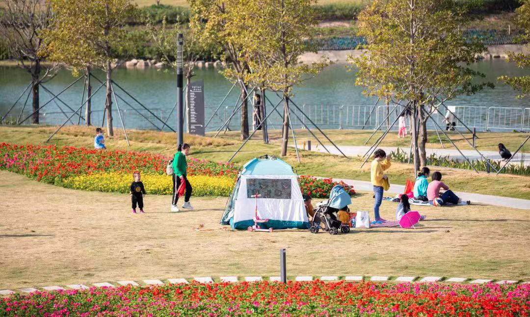 新增停车位537个前海桂湾公园停车场投入使用