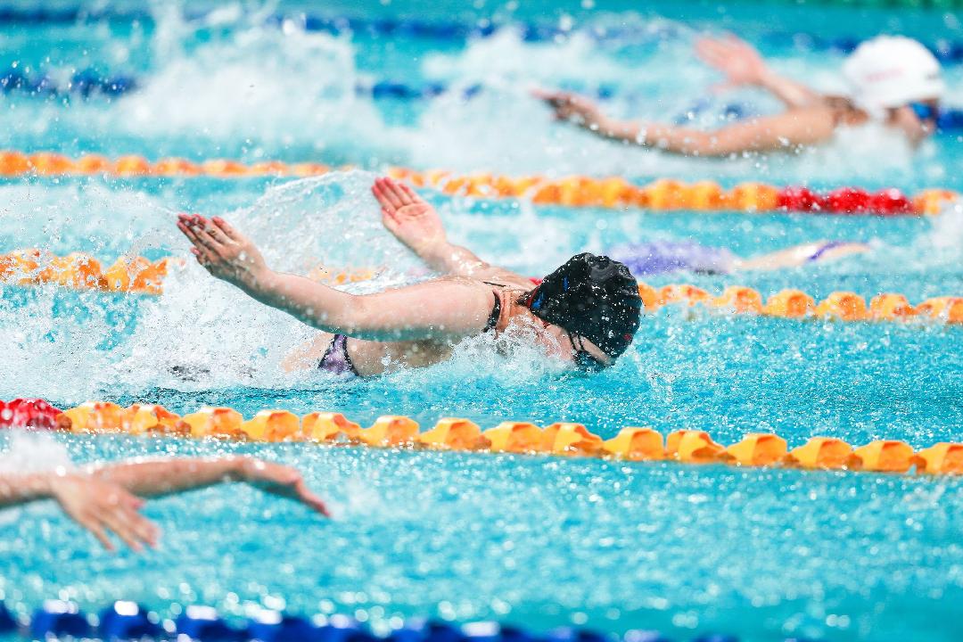 省运会游泳第二比赛日深圳队狂揽10金