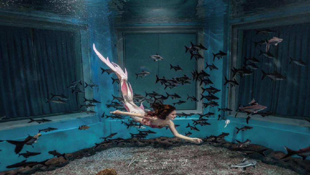 美人鱼秀将惊艳亮相深圳渔博会