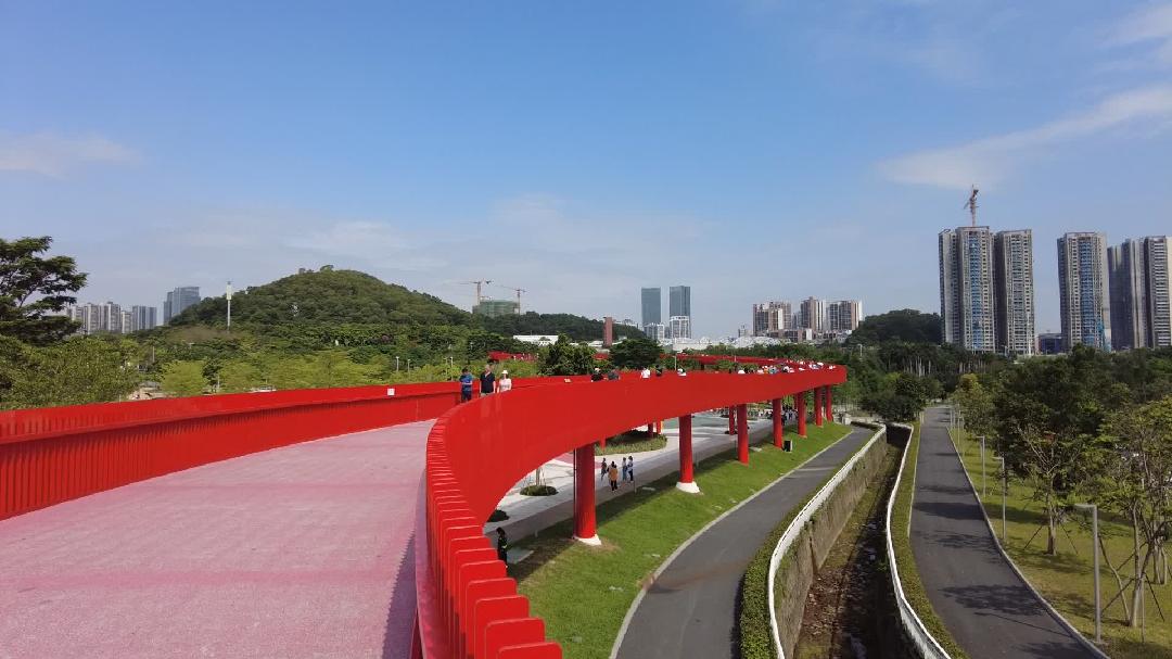 上午9点,已有不少游人抵达光明虹桥公园.