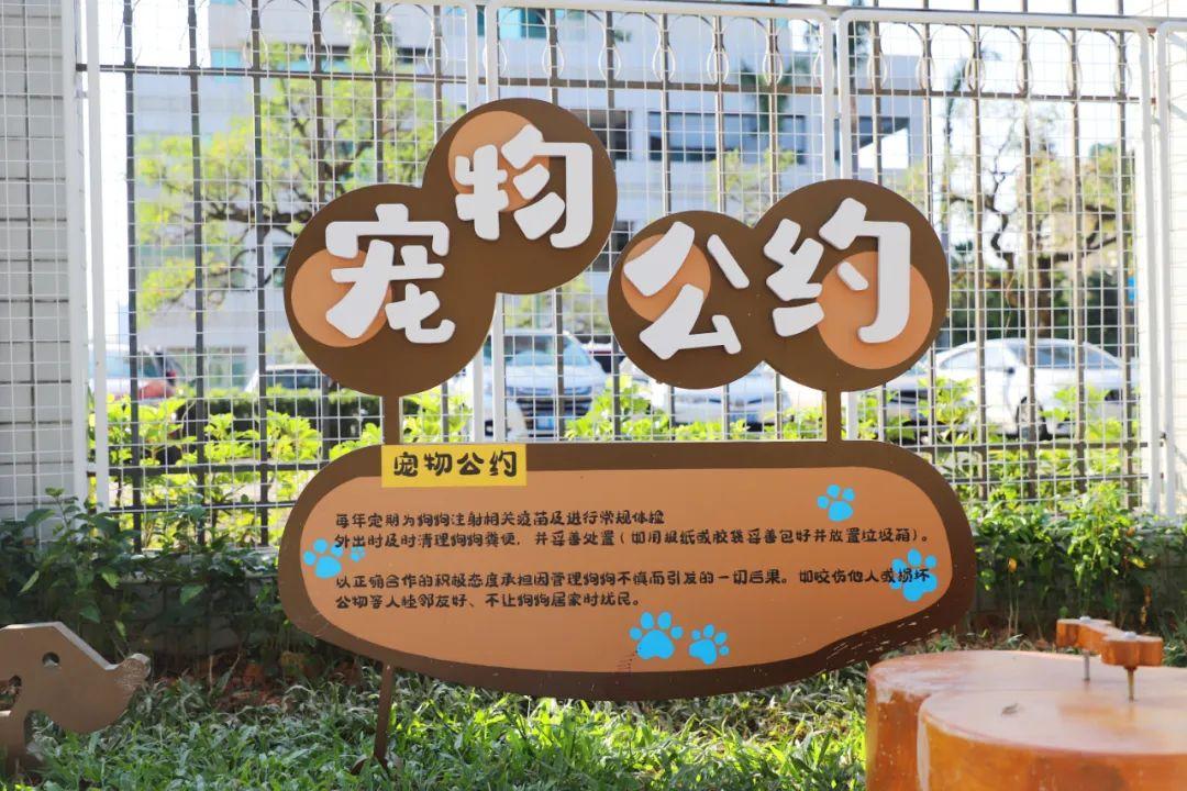 龙岗首个宠物主题公园来啦