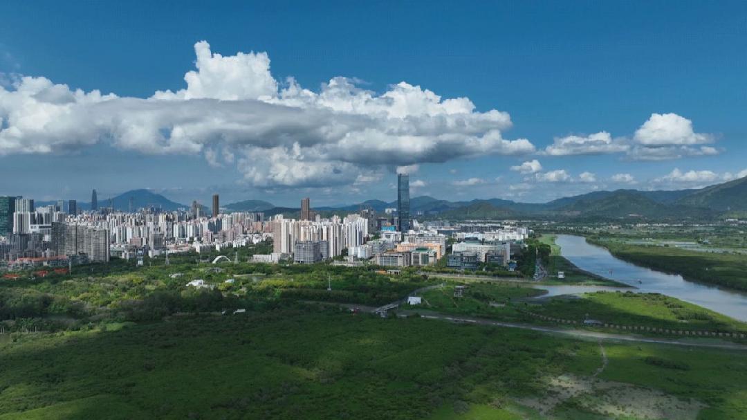 西丽湖论坛如何共话前沿科技与创新